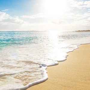 Meet your Posher, Calvin